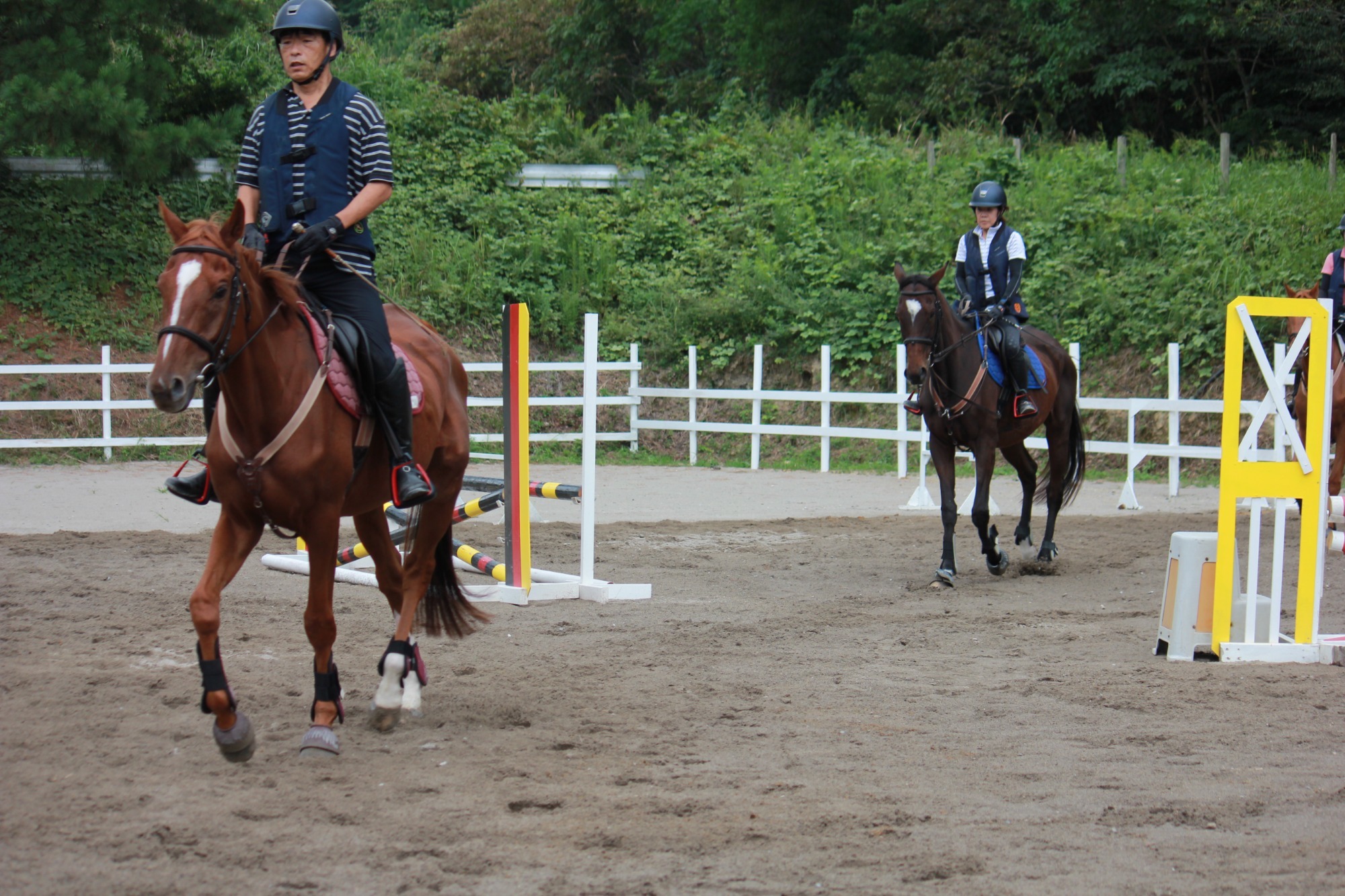 初級 ドレッサージュ【馬場馬術の初歩練習】（乗馬レッスン）