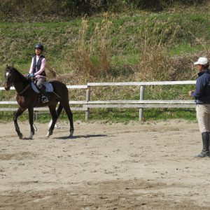 乗馬クラブクラフト Craft 兵庫県 神戸の乗馬クラブ 初級